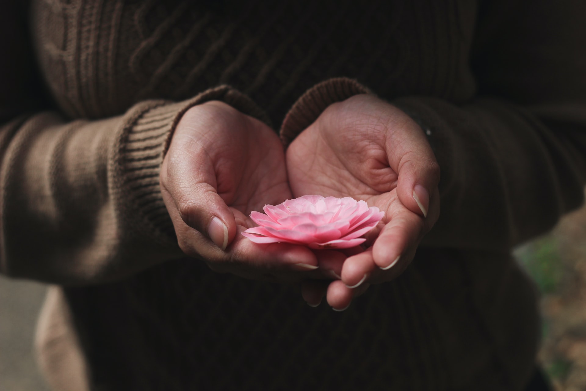 Everyday Blessing: HAPPY GIVING (BERBAHAGIA MEMBERI)