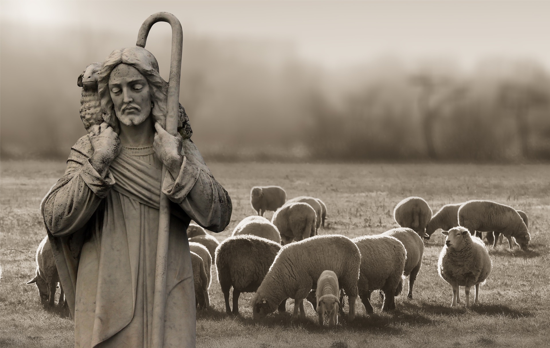 Everyday Blessing: THE SHEPHERD (GEMBALA)