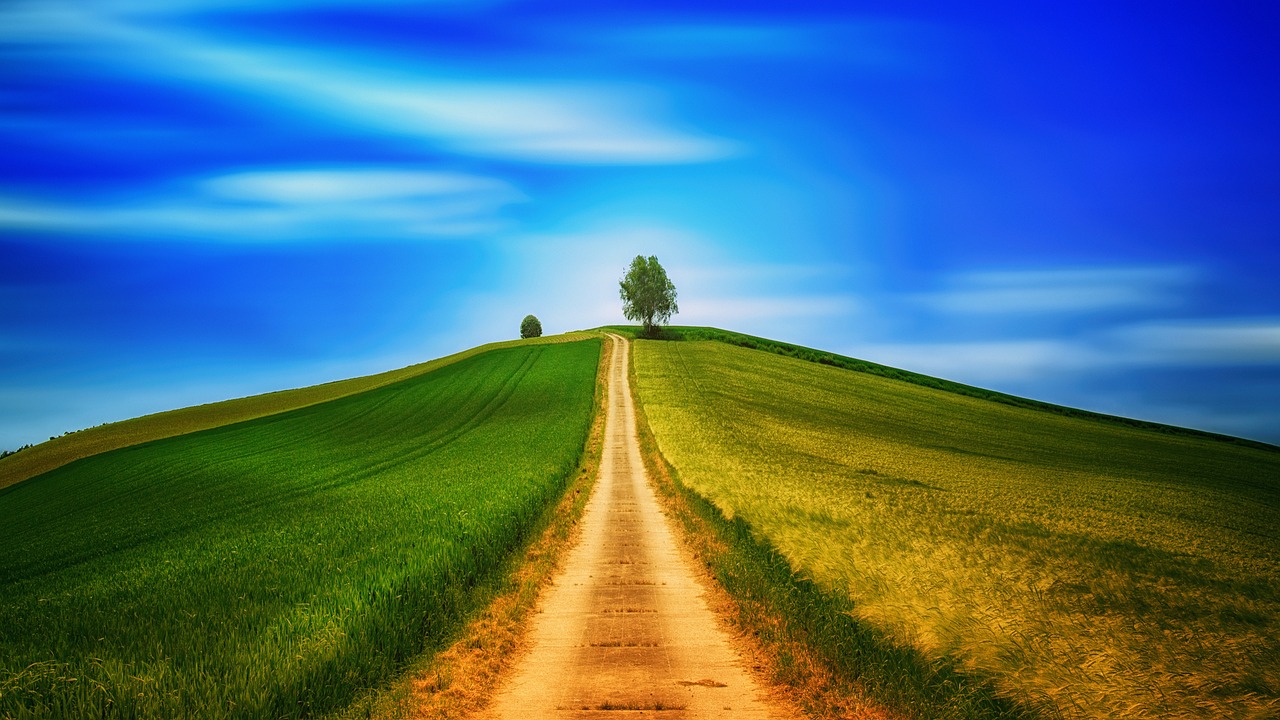 Everyday Blessing: LED BY SPIRIT (DIPIMPIN OLEH ROH)