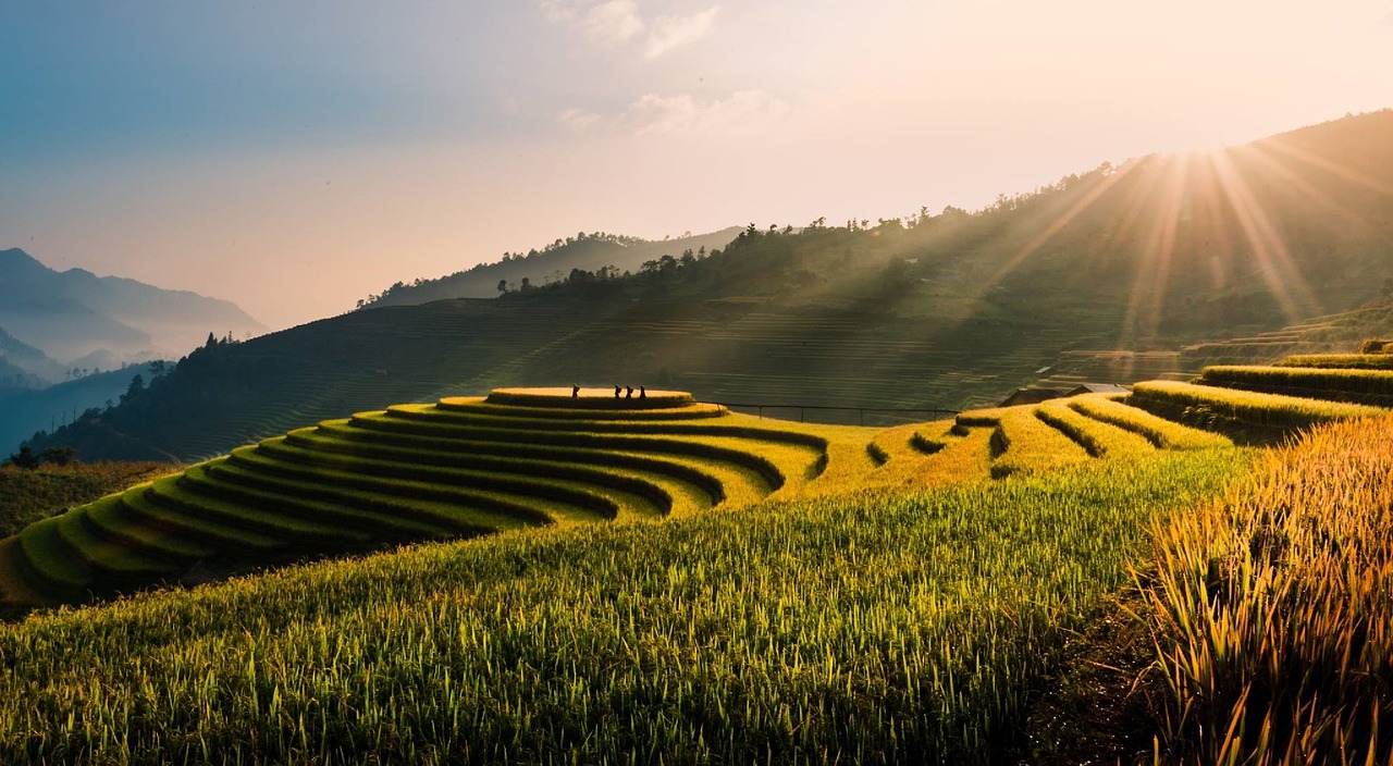 Everyday Blessing: THE PEACE OF GOD (DAMAI DARI TUHAN)