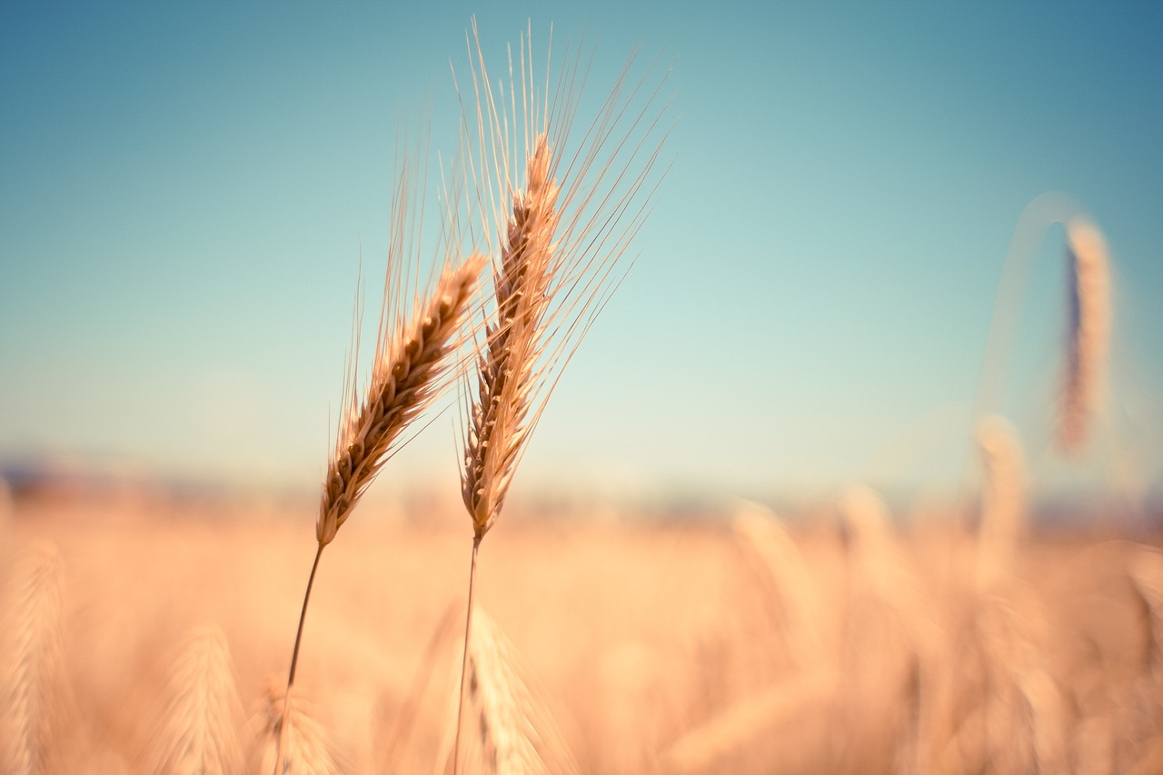 Everyday Blessing: SEASON OF LIFE (MUSIM KEHIDUPAN)