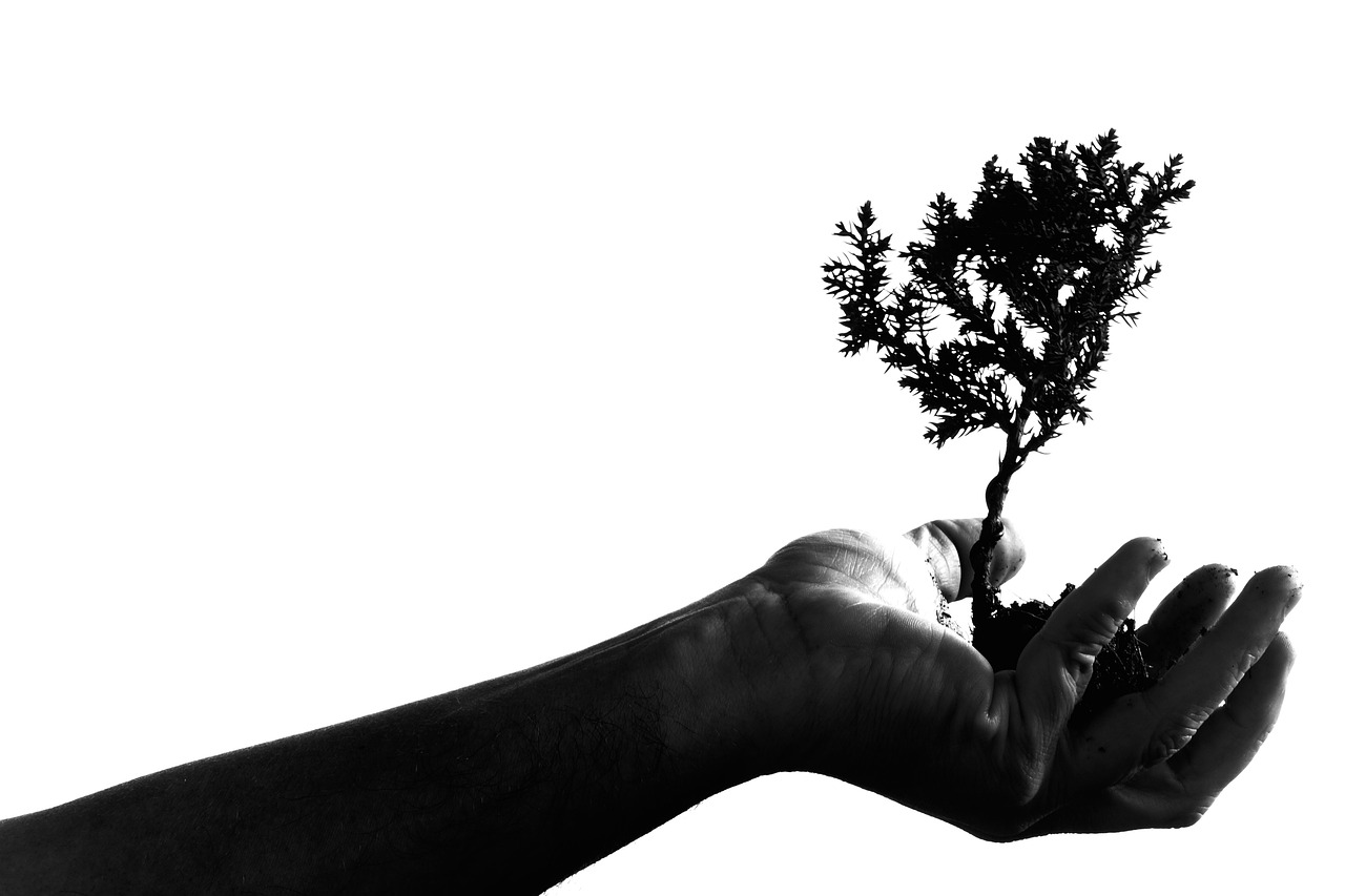 Everyday Blessing: GOD’S WORK (PEKERJAAN TUHAN)