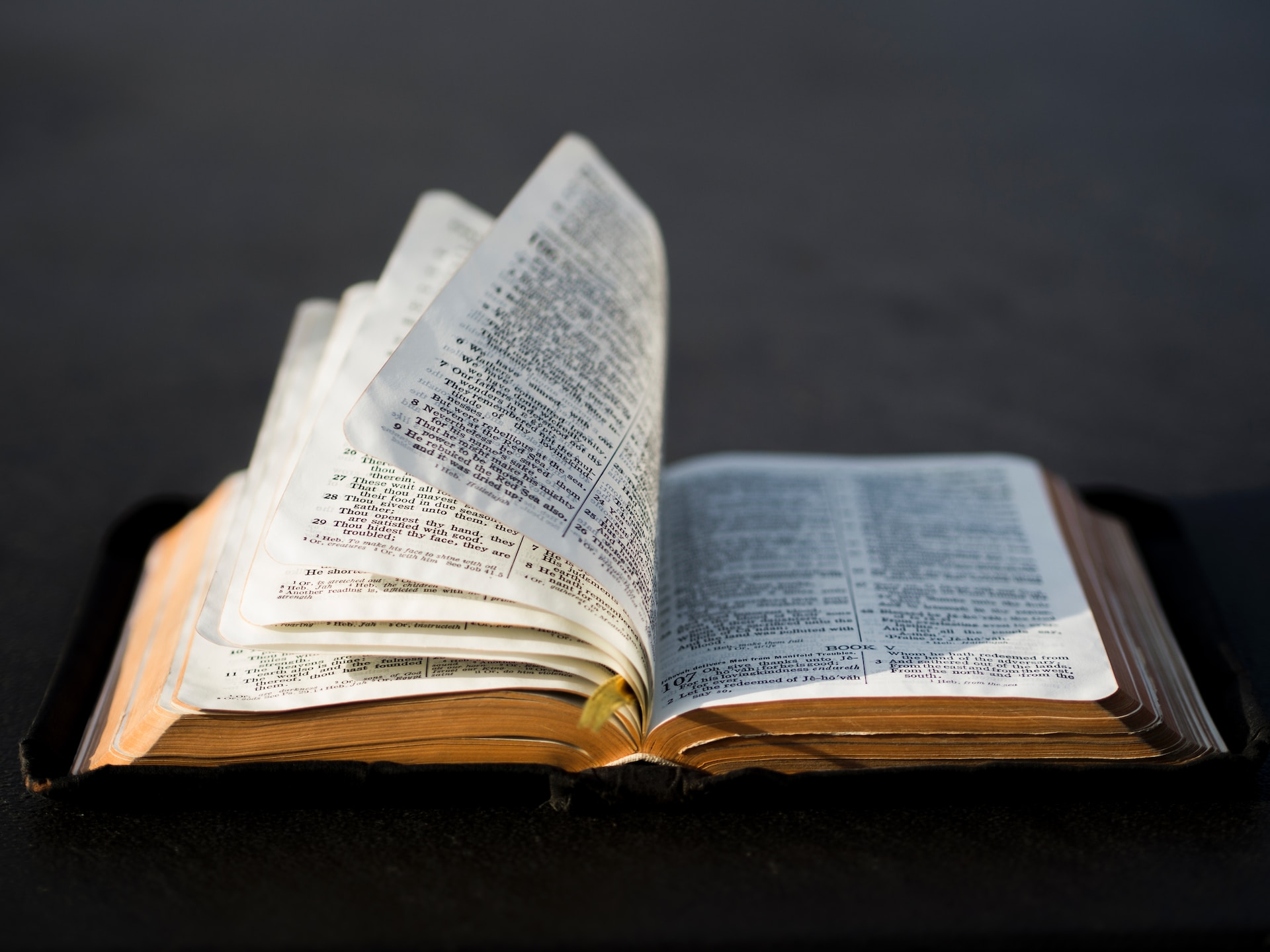 Everyday Blessing: DOING THE WORD (MELAKUKAN FIRMAN)