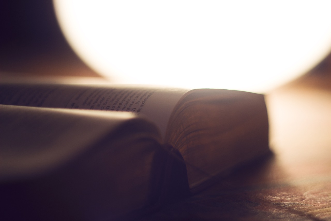 Everyday Blessing: THE WORD OF GOD (FIRMAN TUHAN)