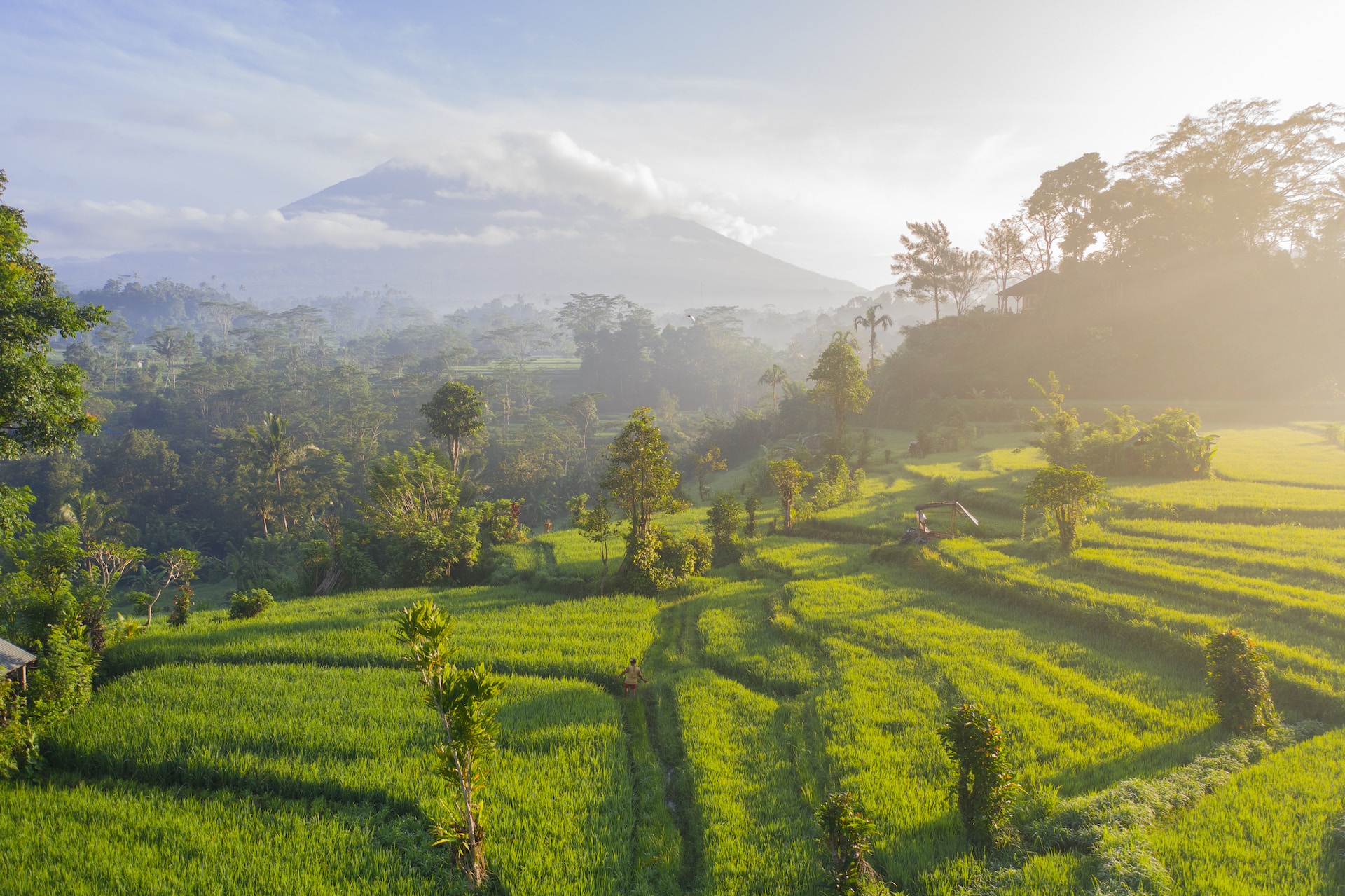 Everyday Blessing: JEHOVAH JIREH (ALLAH YANG MENYEDIAKAN)