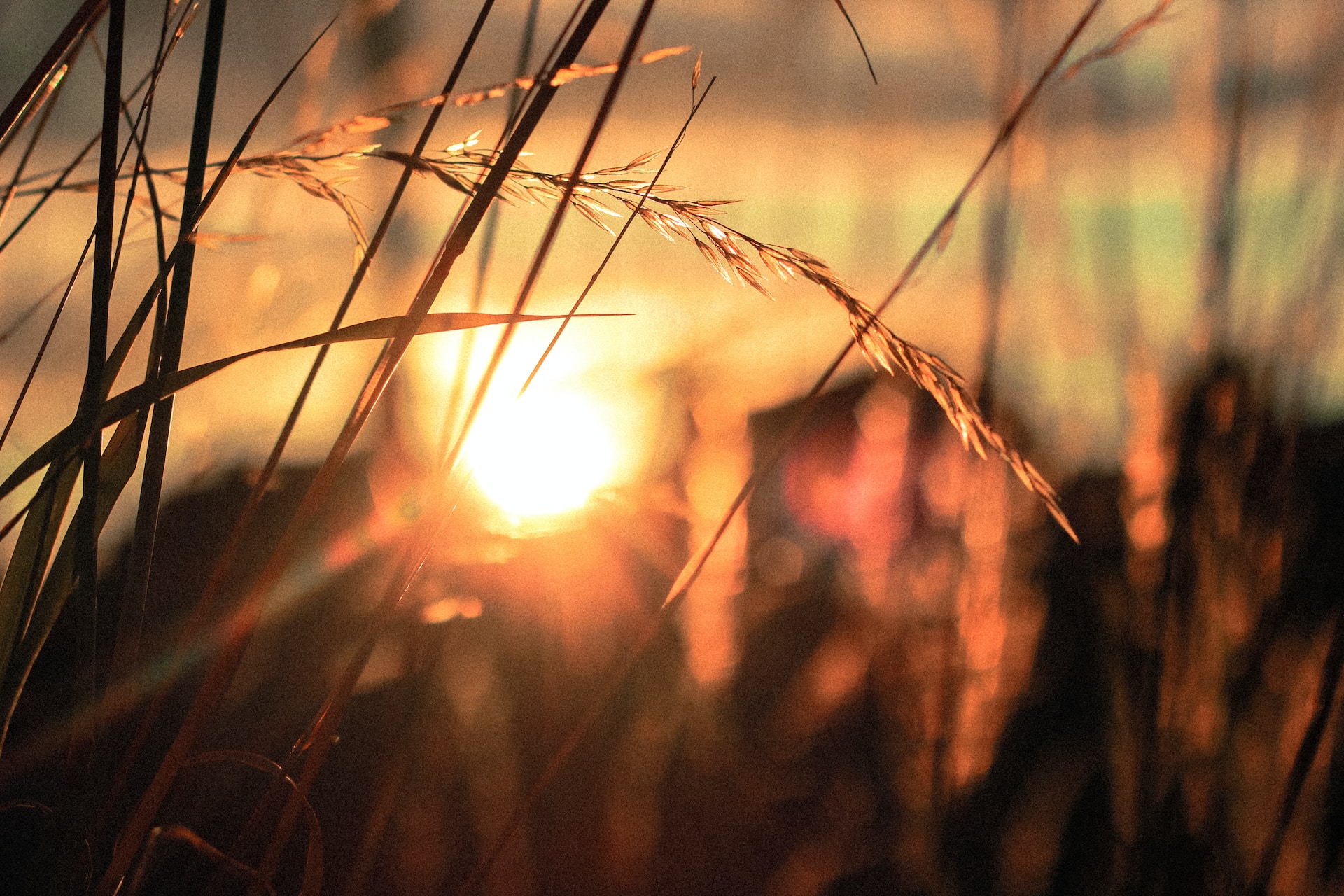 Everyday Blessing: HOPE (HARAPAN)