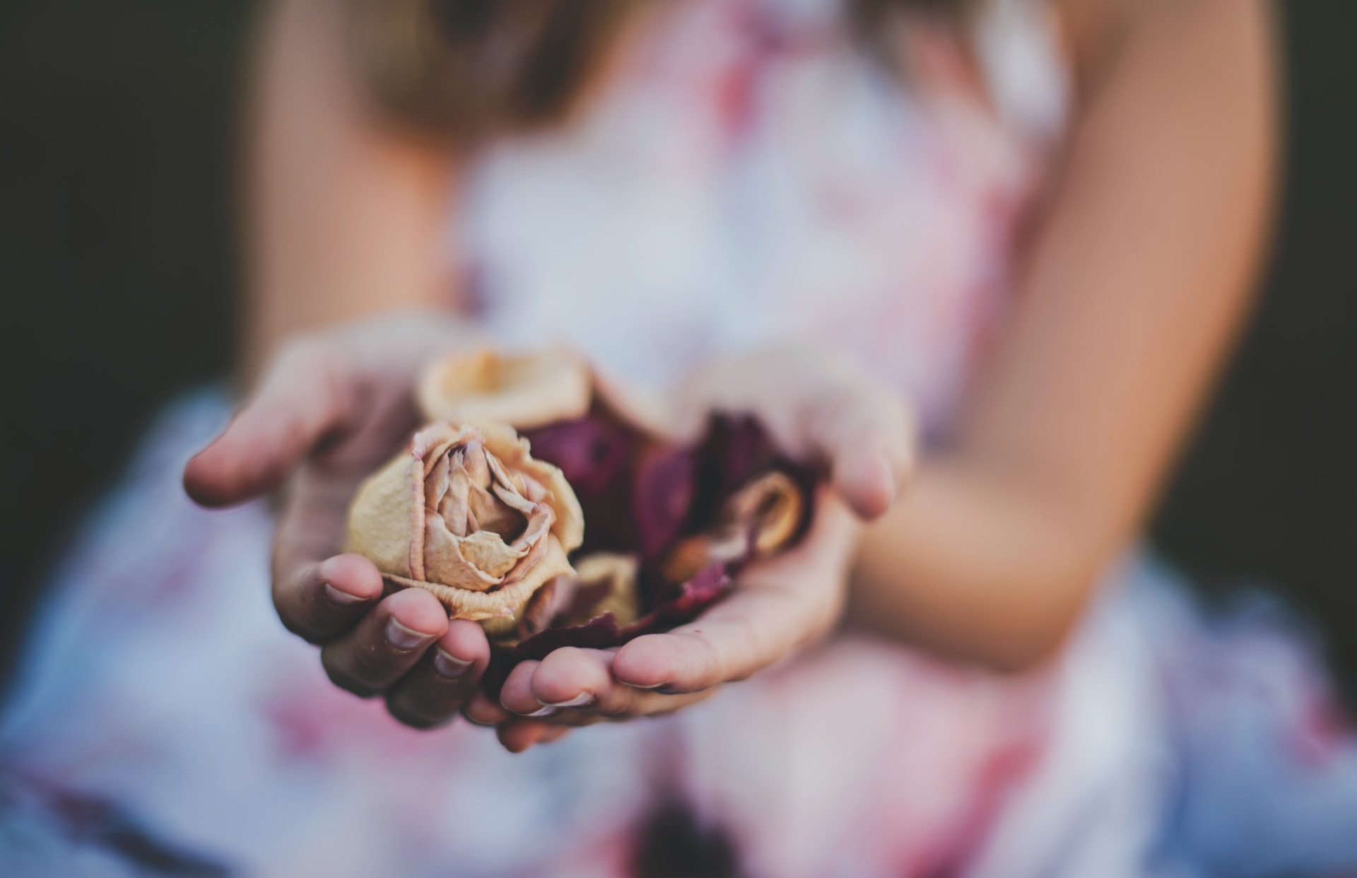 Everyday Blessing: A LIFE OF THANKSGIVING (KEHIDUPAN SYUKUR)