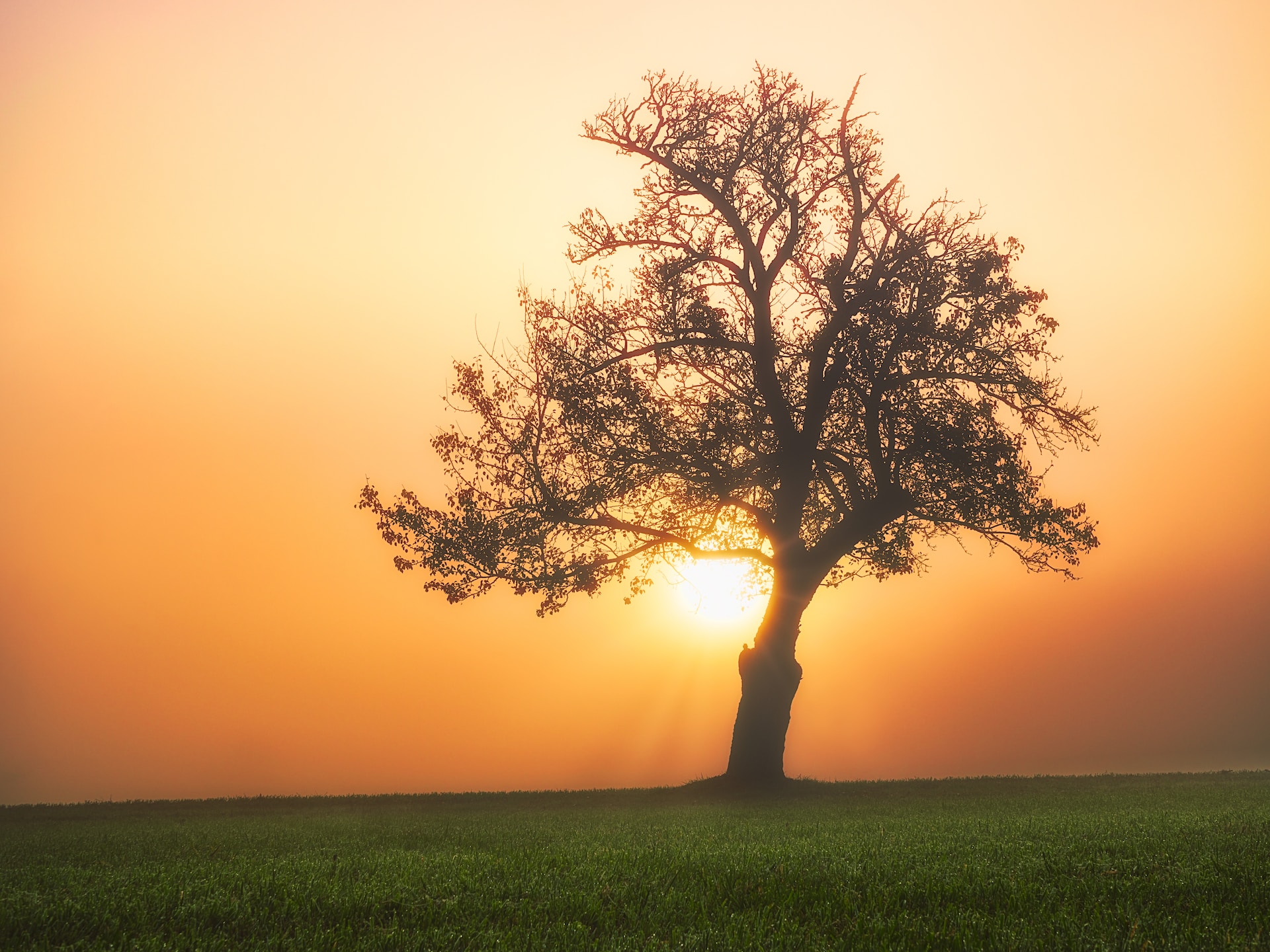 Everyday Blessing: NEW DAY NEW LIFE (HARI BARU HIDUP BARU)