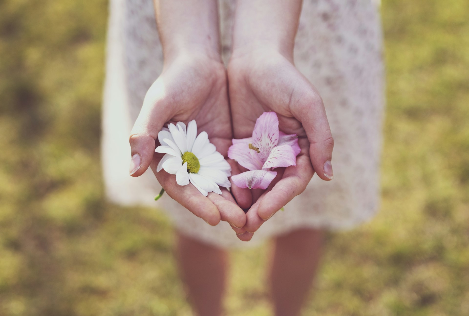Everyday Blessing: GIFT (KARUNIA)