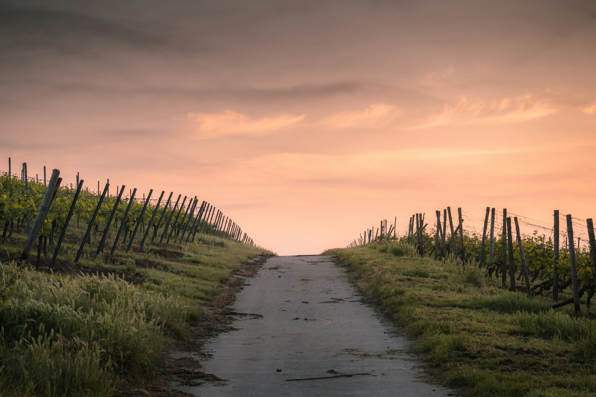 Everyday Blessing: ETERNAL PATH (JALAN YANG KEKAL)