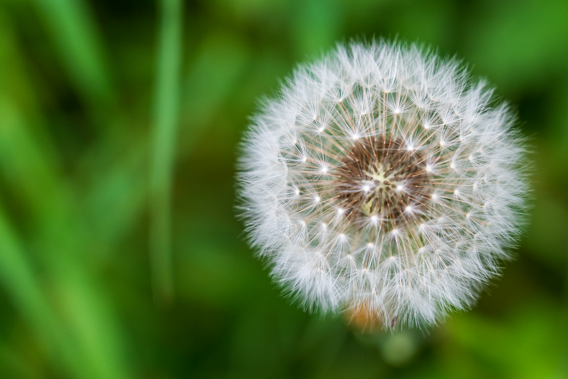 Everyday Blessing: PERFECT (SEMPURNA)